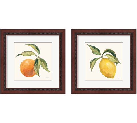 Le Citron & Orange on Cream 2 Piece Framed Art Print Set by Silvia Vassileva