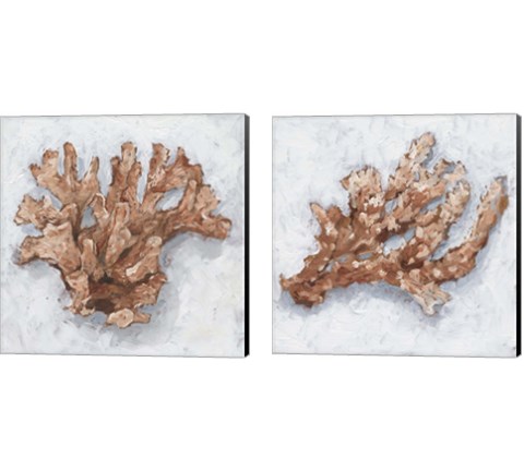 Coral Display 2 Piece Canvas Print Set by Ethan Harper