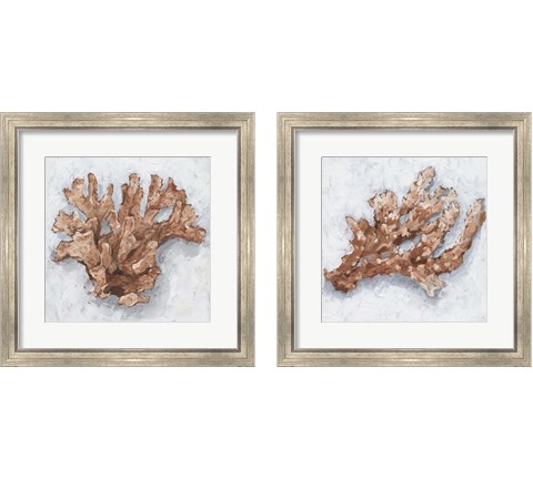 Coral Display 2 Piece Framed Art Print Set by Ethan Harper