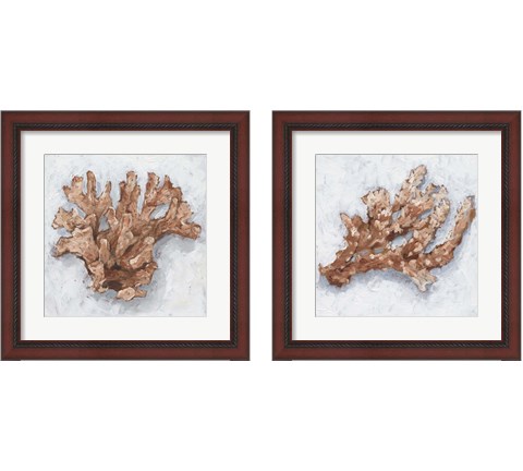 Coral Display 2 Piece Framed Art Print Set by Ethan Harper