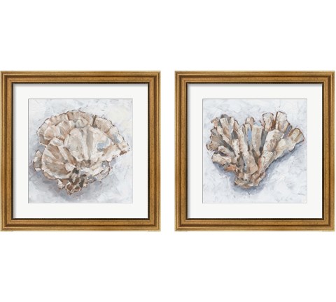 Coral Display 2 Piece Framed Art Print Set by Ethan Harper