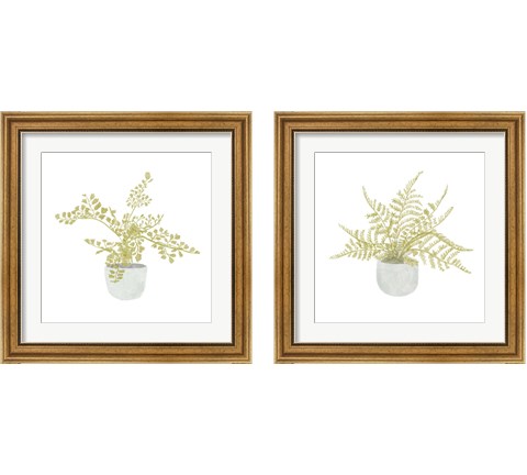 Potted Fern 2 Piece Framed Art Print Set by Bannarot