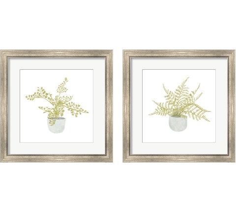 Potted Fern 2 Piece Framed Art Print Set by Bannarot