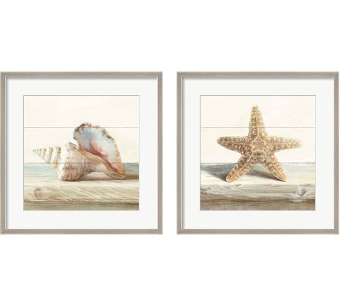 Driftwood Shell 2 Piece Framed Art Print Set by Danhui Nai