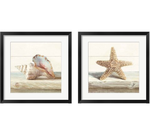 Driftwood Shell 2 Piece Framed Art Print Set by Danhui Nai