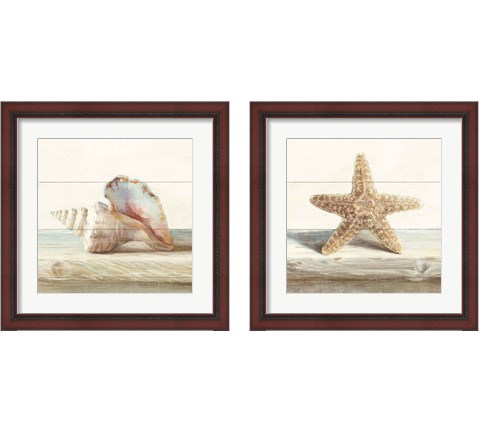 Driftwood Shell 2 Piece Framed Art Print Set by Danhui Nai