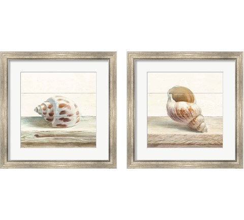 Driftwood Shell 2 Piece Framed Art Print Set by Danhui Nai