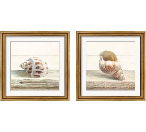 Driftwood Shell 2 Piece Framed Art Print Set by Danhui Nai