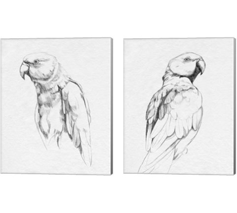 Parrot Portrait 2 Piece Canvas Print Set by Emma Caroline