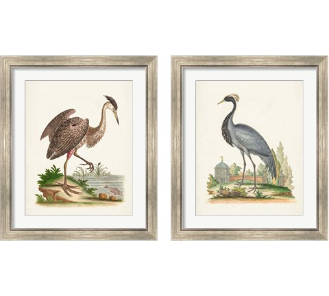 Antique Heron & Cranes 2 Piece Framed Art Print Set by George Edwards