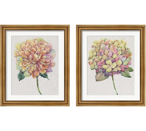 Multicolor Floral 2 Piece Framed Art Print Set by Timothy O'Toole