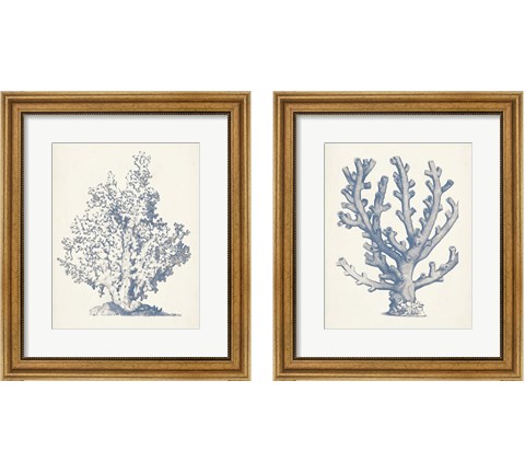 Antique Coral Collection 2 Piece Framed Art Print Set by Vision Studio