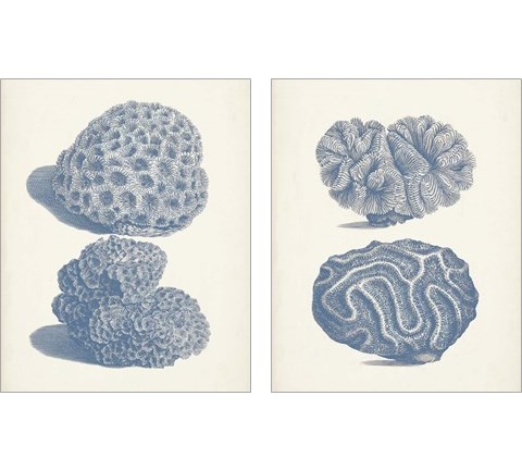 Antique Coral Collection 2 Piece Art Print Set by Vision Studio