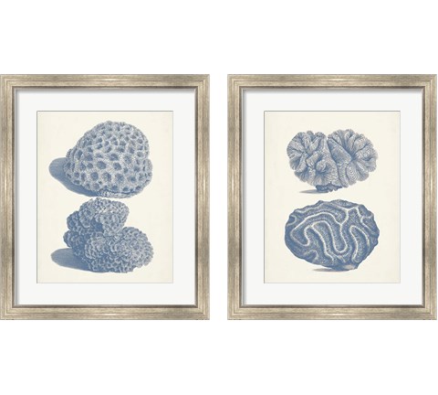 Antique Coral Collection 2 Piece Framed Art Print Set by Vision Studio