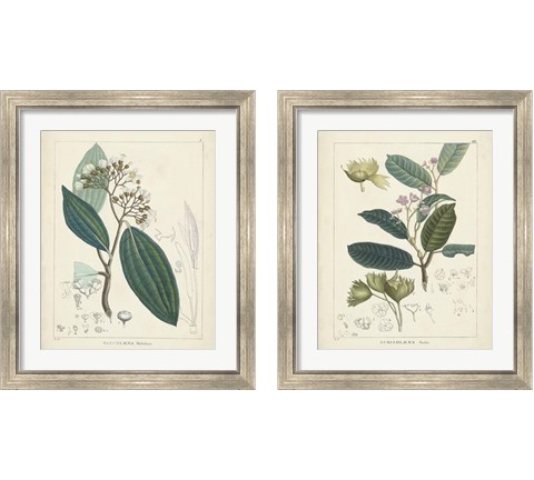 Vintage Verdure 2 Piece Framed Art Print Set