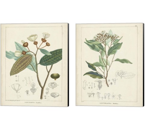 Vintage Verdure 2 Piece Canvas Print Set