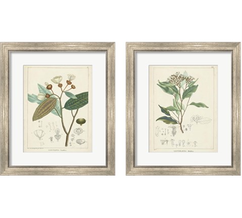 Vintage Verdure 2 Piece Framed Art Print Set