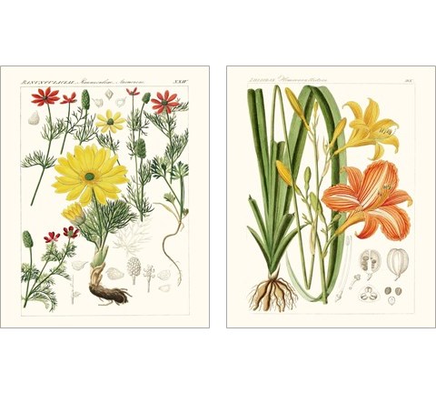 Bright Botanicals 2 Piece Art Print Set