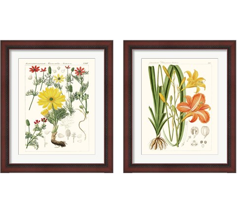 Bright Botanicals 2 Piece Framed Art Print Set