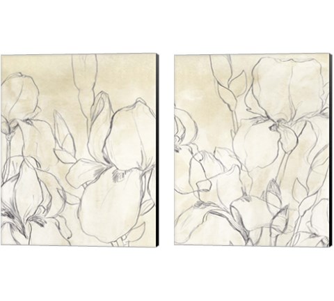 Iris Garden Sketch 2 Piece Canvas Print Set by June Erica Vess