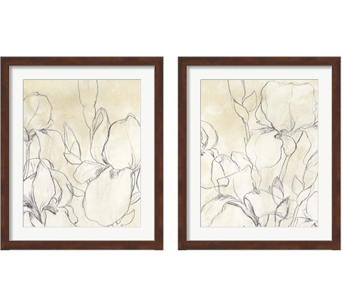 Iris Garden Sketch 2 Piece Framed Art Print Set by June Erica Vess