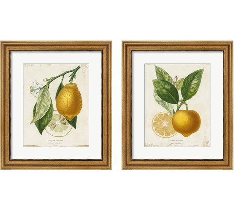 French Lemon 2 Piece Framed Art Print Set by Studio W