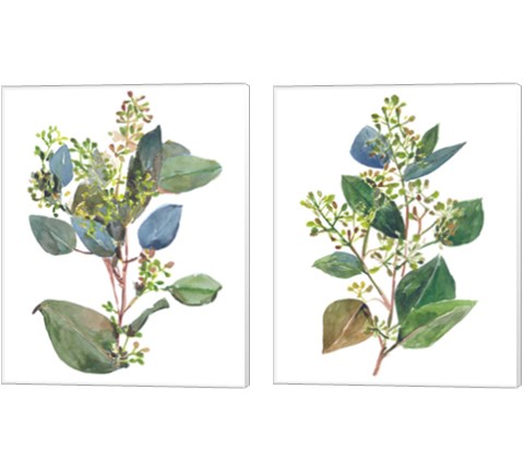 Seeded Eucalyptus 2 Piece Canvas Print Set by Melissa Wang