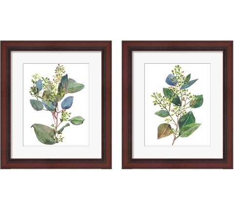 Seeded Eucalyptus 2 Piece Framed Art Print Set by Melissa Wang