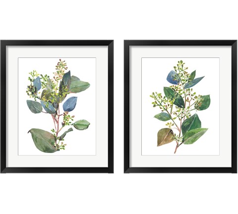 Seeded Eucalyptus 2 Piece Framed Art Print Set by Melissa Wang