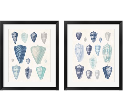 Blue Shell Assortment 2 Piece Framed Art Print Set by Wild Apple Portfolio