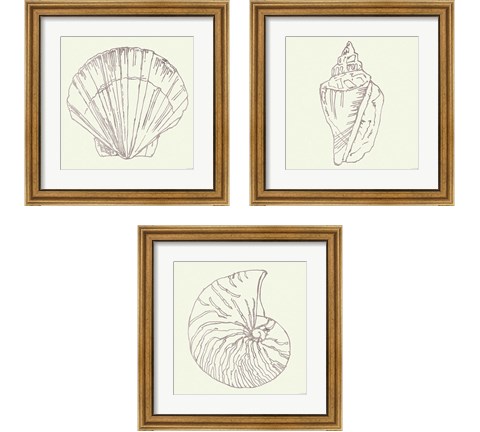 Coastal Breeze Sketches Silver 3 Piece Framed Art Print Set by Anne Tavoletti