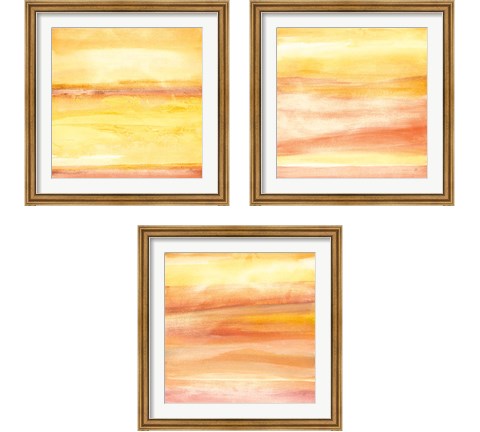 Golden Sands 3 Piece Framed Art Print Set by Chris Paschke