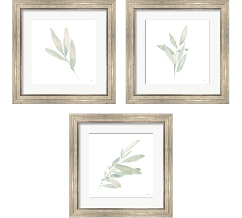 Sage  3 Piece Framed Art Print Set by Katrina Pete