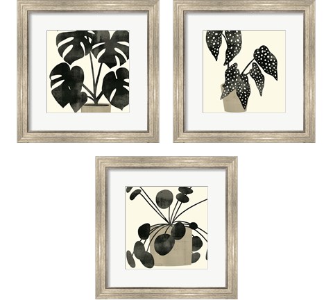 Plantling 3 Piece Framed Art Print Set by Victoria Barnes