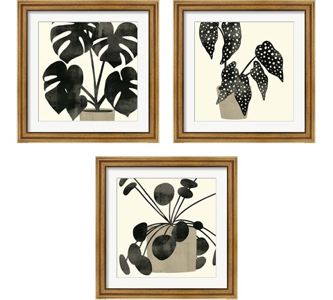 Plantling 3 Piece Framed Art Print Set by Victoria Barnes