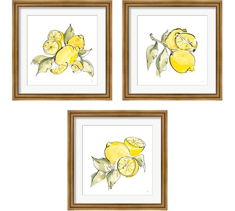 Lemon Still Life 3 Piece Framed Art Print Set by Chris Paschke