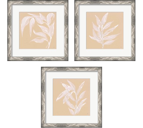 Leaf Study 3 Piece Framed Art Print Set by Chris Paschke