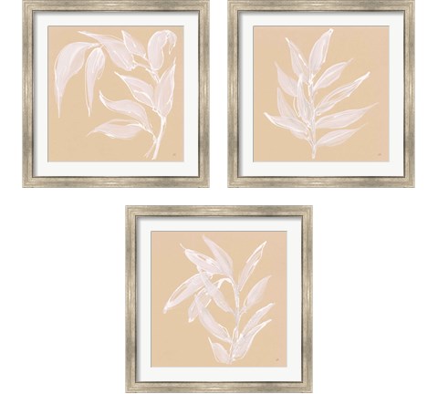 Leaf Study 3 Piece Framed Art Print Set by Chris Paschke