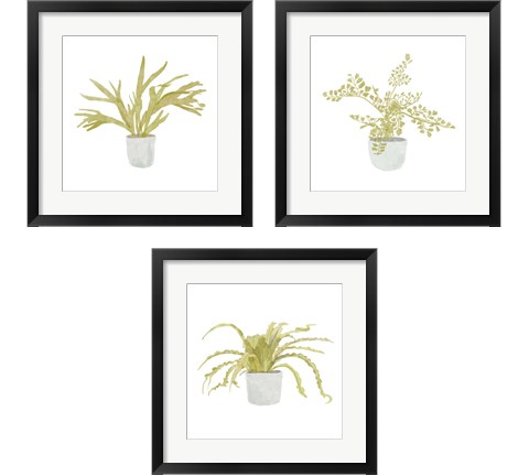 Potted Fern 3 Piece Framed Art Print Set by Bannarot