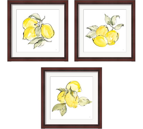 Lemons 3 Piece Framed Art Print Set by Chris Paschke