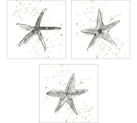 Starfish  3 Piece Art Print Set by Chris Paschke