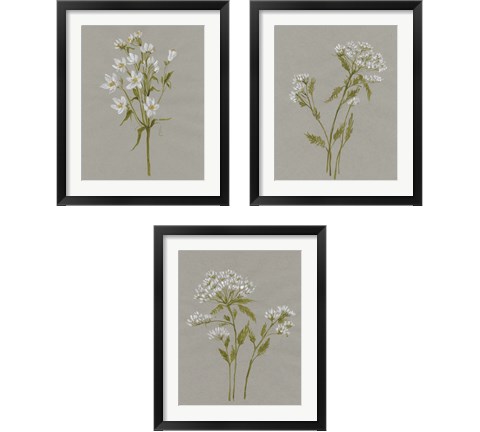 White Field Flowers 3 Piece Framed Art Print Set by Jennifer Goldberger