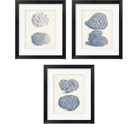 Antique Coral Collection 3 Piece Framed Art Print Set by Vision Studio