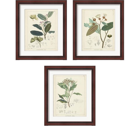 Vintage Verdure 3 Piece Framed Art Print Set