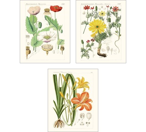 Bright Botanicals 3 Piece Art Print Set