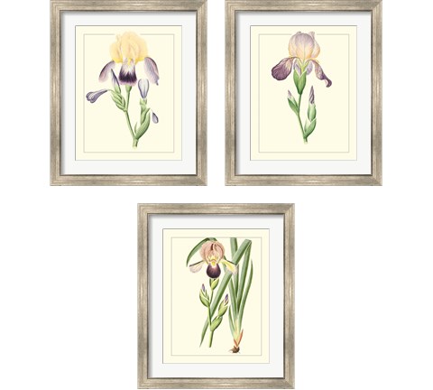 Purple Irises 3 Piece Framed Art Print Set