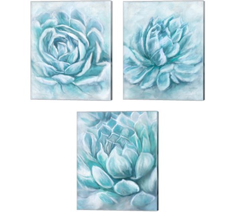 Aqua Succulen 3 Piece Canvas Print Set by Ramona Murdock