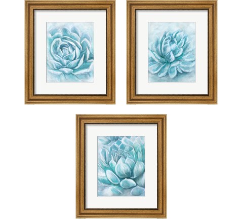 Aqua Succulen 3 Piece Framed Art Print Set by Ramona Murdock