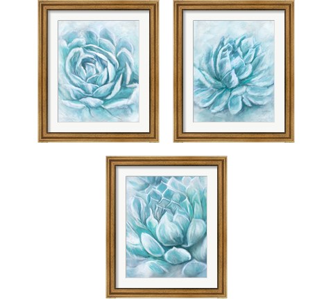 Aqua Succulen 3 Piece Framed Art Print Set by Ramona Murdock