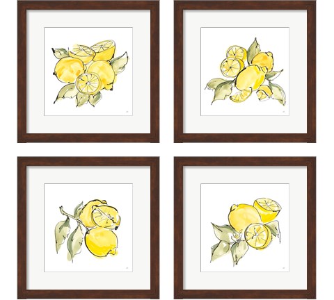 Lemon Still Life 4 Piece Framed Art Print Set by Chris Paschke